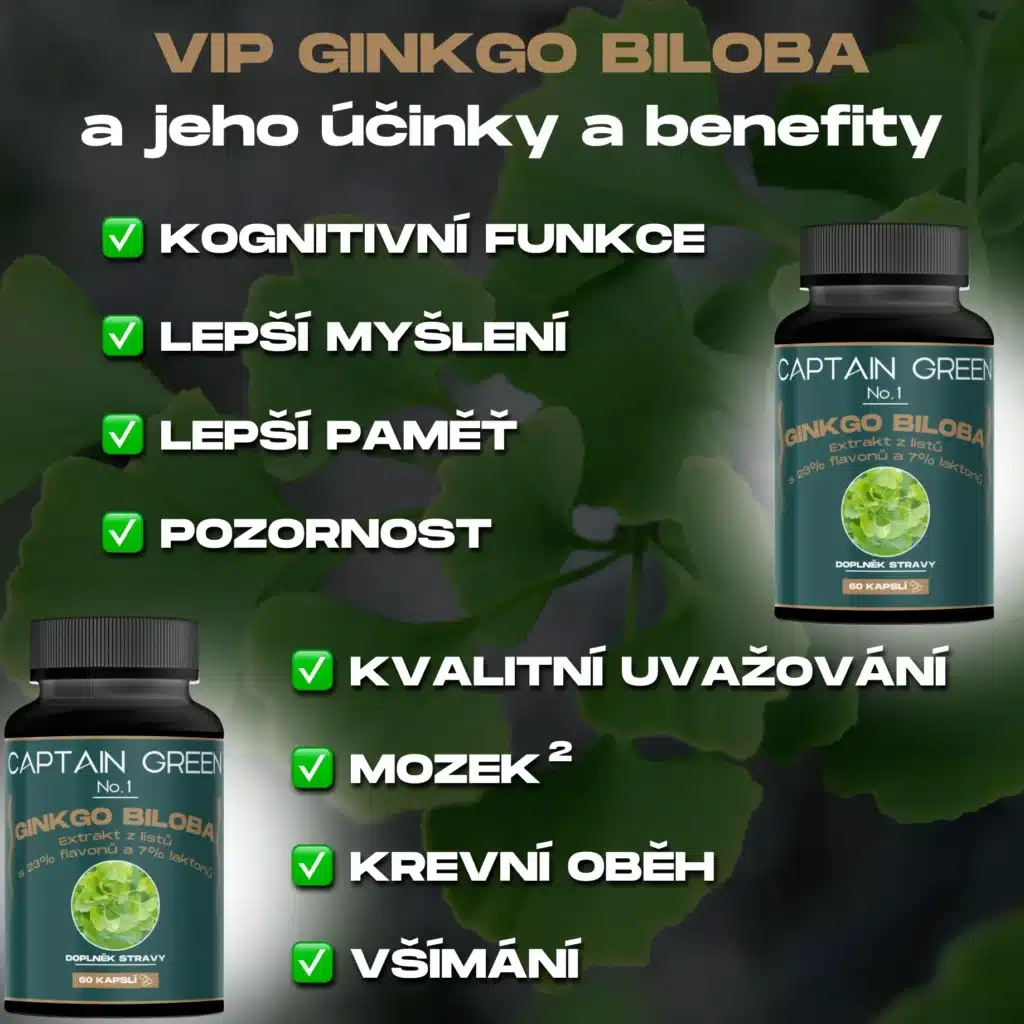 VIP Ginkgo Biloba - Kognitivní Král