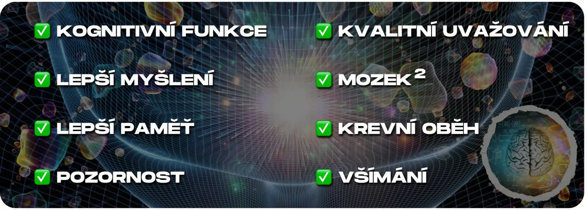 VIP Ginkgo Biloba - Kognitivní Král