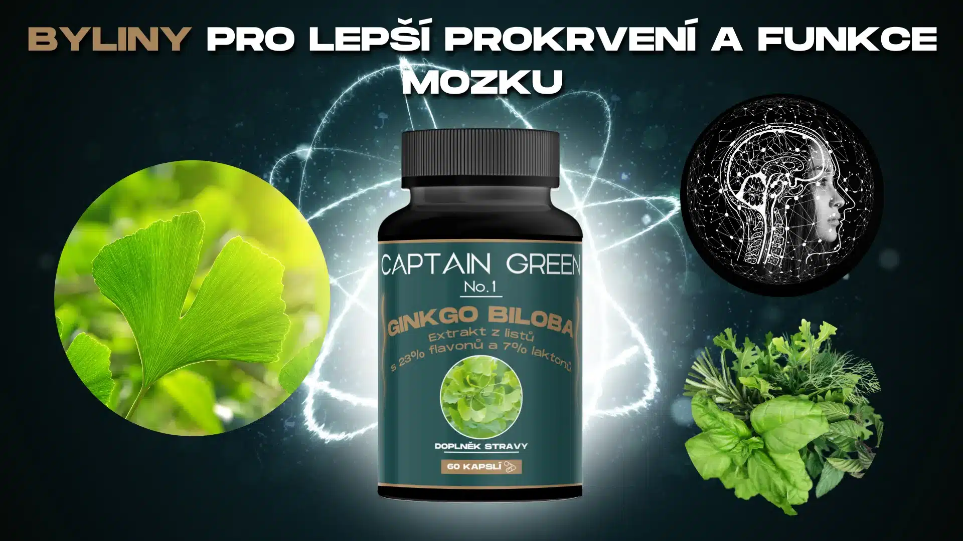 VIP Ginkgo Biloba - Kognitivní Král