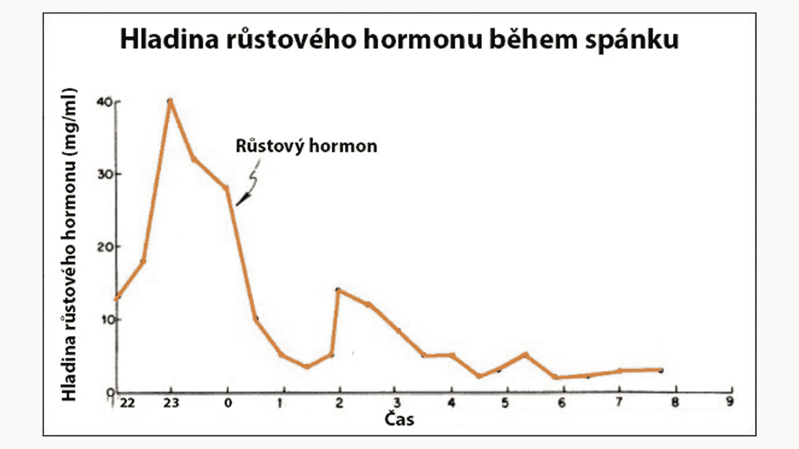 magn up premiova smes horciku