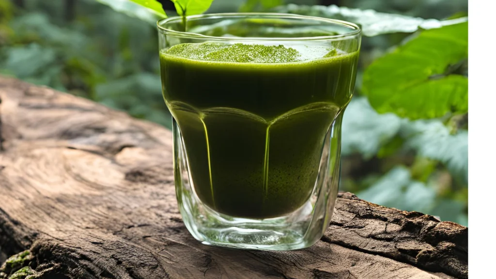 Wild Kratom Přednosti kratomu z volně rostoucích stromu v džungli Wild Kratom Přednosti kratomu z volně rostoucích stromu v džungli