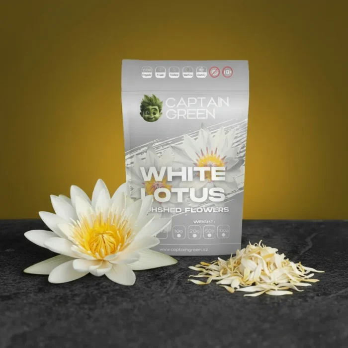 Bílý leknín drcené květy (Nymphaea Alba), White Lotus