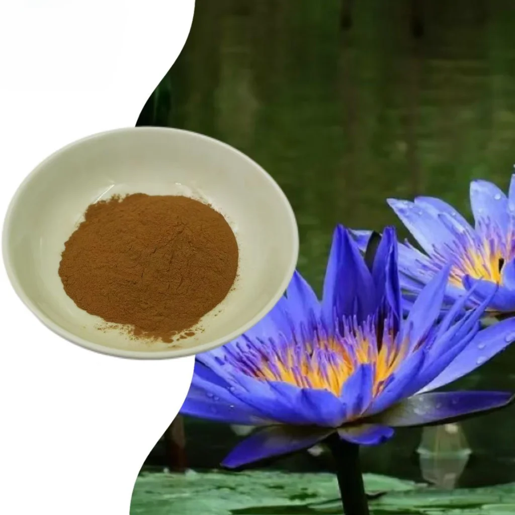 Blue Lotus Extract Nymphaea Caerulea 20_1, Modrý leknín extrakt 20_1