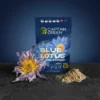 Blue Lotus Extract Nymphaea Caerulea 50-1, Modrý leknín extrakt 50-1