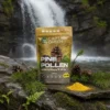 Borovicový pyl prášek 100% čistý, Pine Pollen powder 100% pure