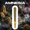 CBD Joint (preroll) Amnesia 20-25% CBD, 1.2g CBD Joint (preroll) Amnesia 20-25% CBD, 1.2g