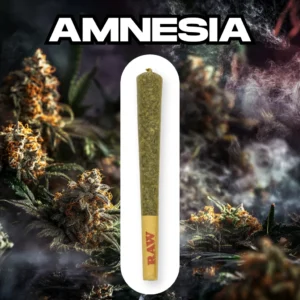 CBD Joint (preroll) Amnesia 20-25% CBD, 1.2g