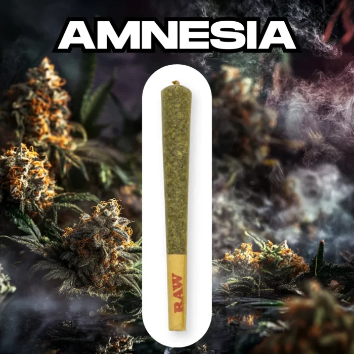 CBD Joint (preroll) Amnesia 20-25% CBD, 1.2g CBD Joint (preroll) Amnesia 20-25% CBD, 1.2g
