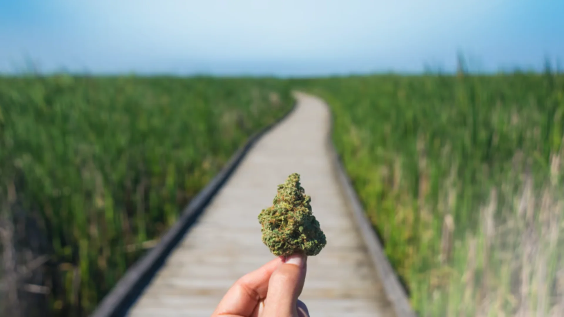 CBD Joint (preroll) 20-25% CBD, 1.2g