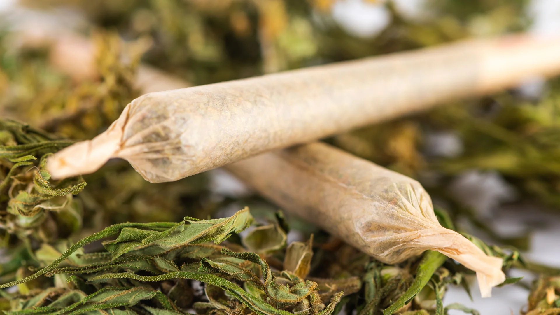 CBD Joint (preroll) 20-25% CBD, 1.2g