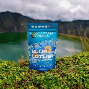 Modrý leknín drcené květy, Blue Lotus Crushed Flowers (Nymphaea Caerulea)