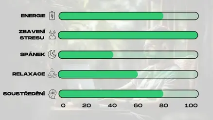 blog_zeleny_kratom_a_jeho_ucinky_captain_green