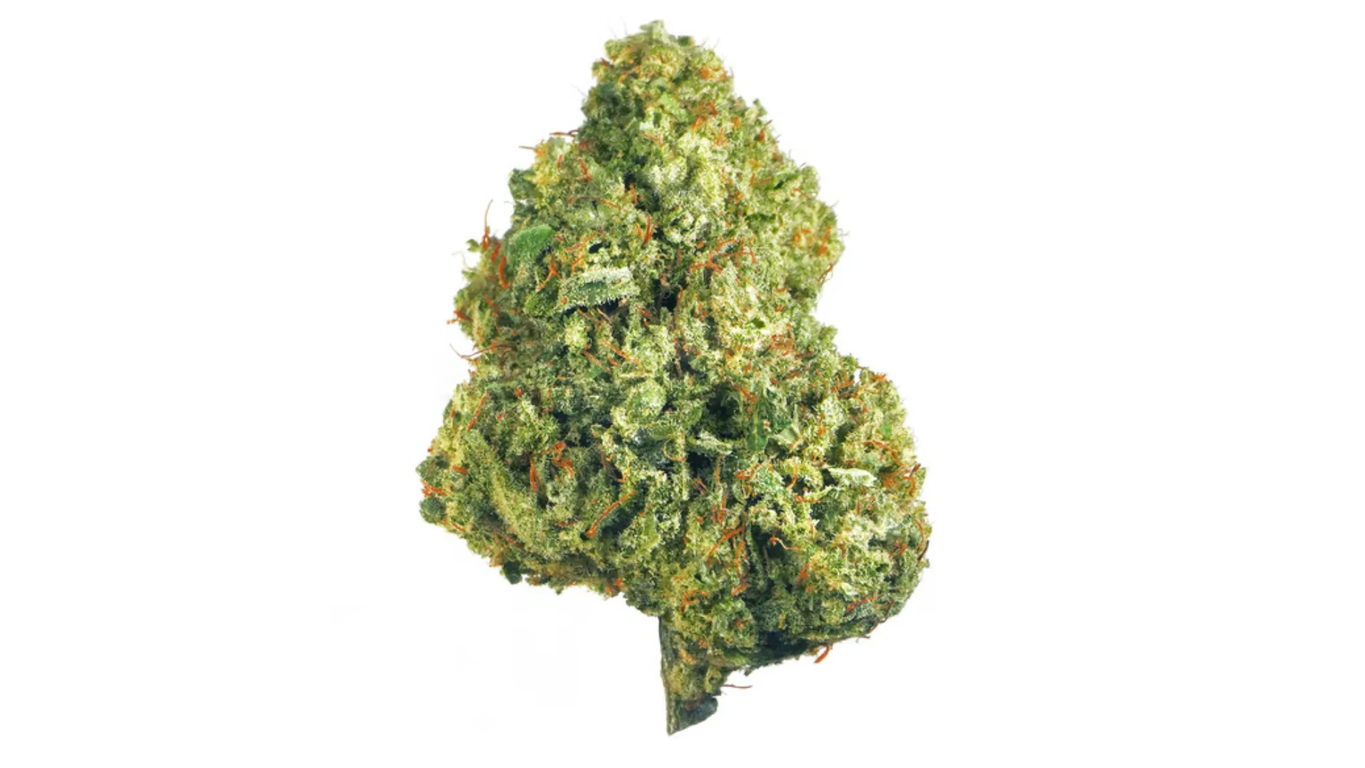 cbd kvety blueberry kush