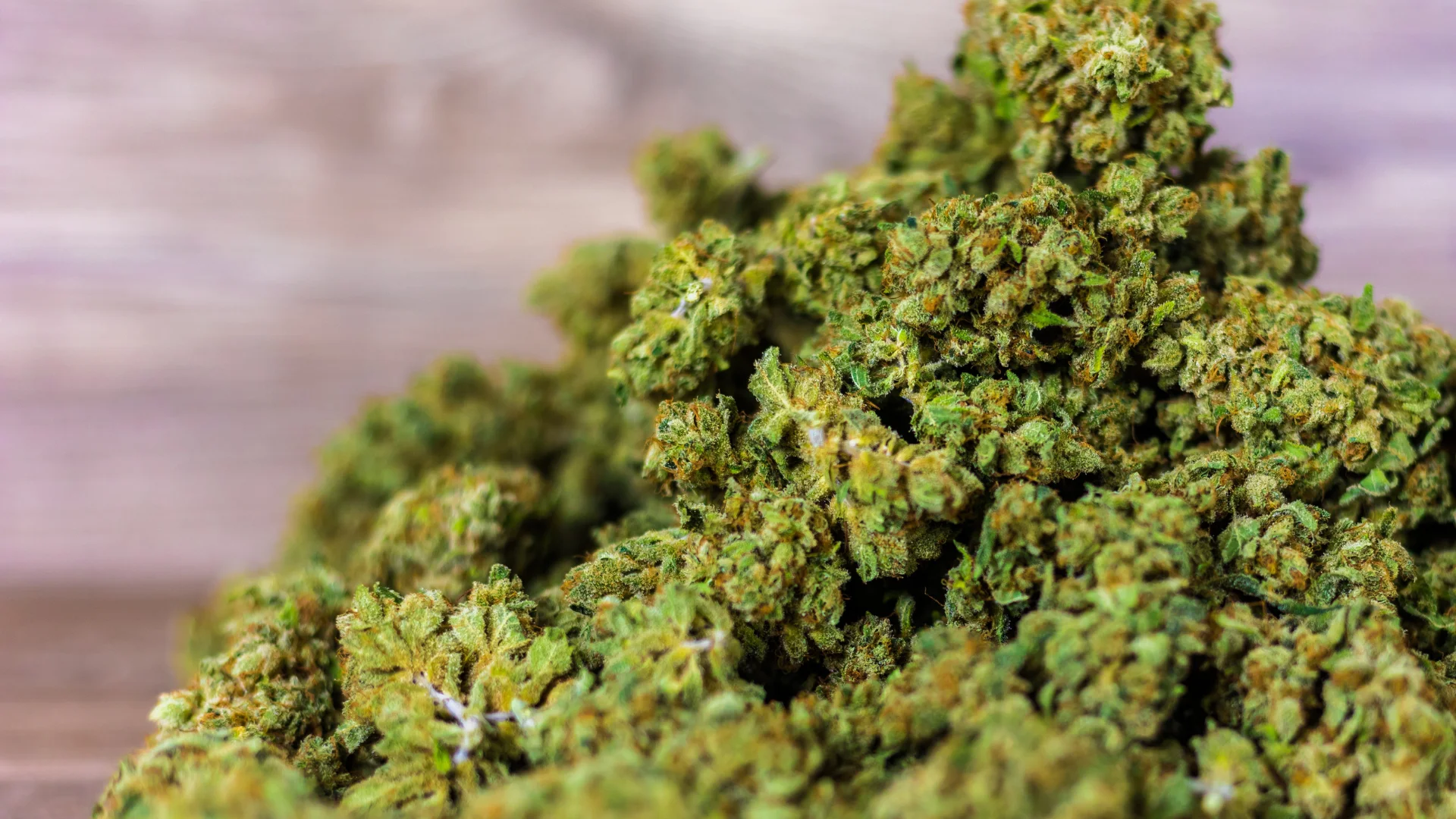 cbd kvety boruvka palicky