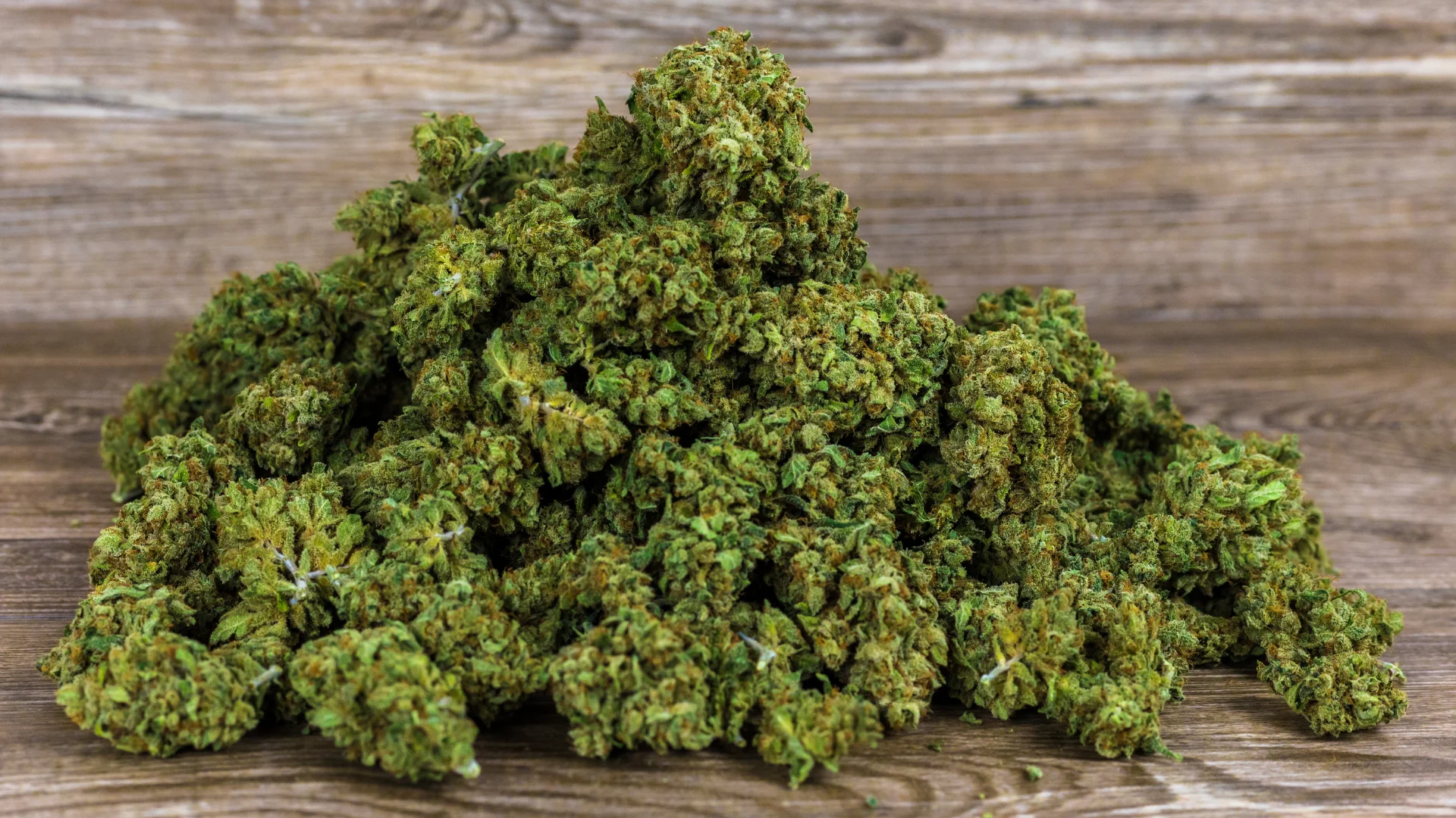 cbd kvety tutti frutti palicky