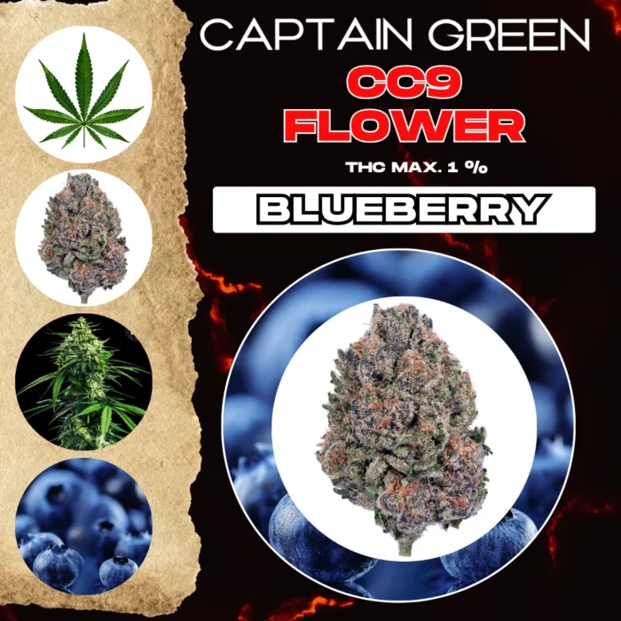 cc9-kvety-boruvka cc9-kvety-boruvka