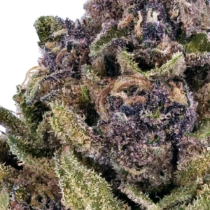 cc9-kvety-tutti-frutti2