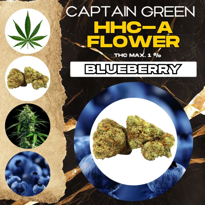 hhca-kvety-boruvka hhca-kvety-boruvka