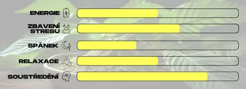 jaky_kratom_vybrat_zluty_captain_green