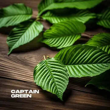 kolik_si_dat_lzicek_kratomu_captain_green