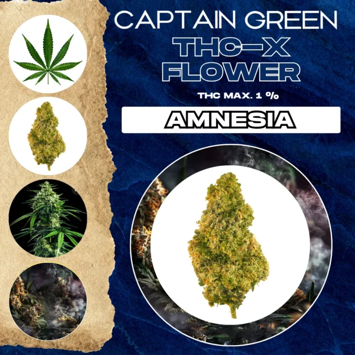 thcx kvety amnesia thcx kvety amnesia