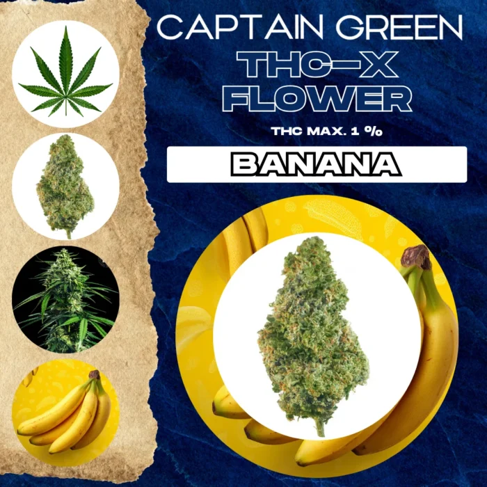 thcx-kvety-banan thcx-kvety-banan