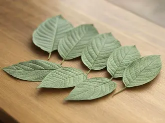 vedlejsi_ucinky_kratomu_captain_green